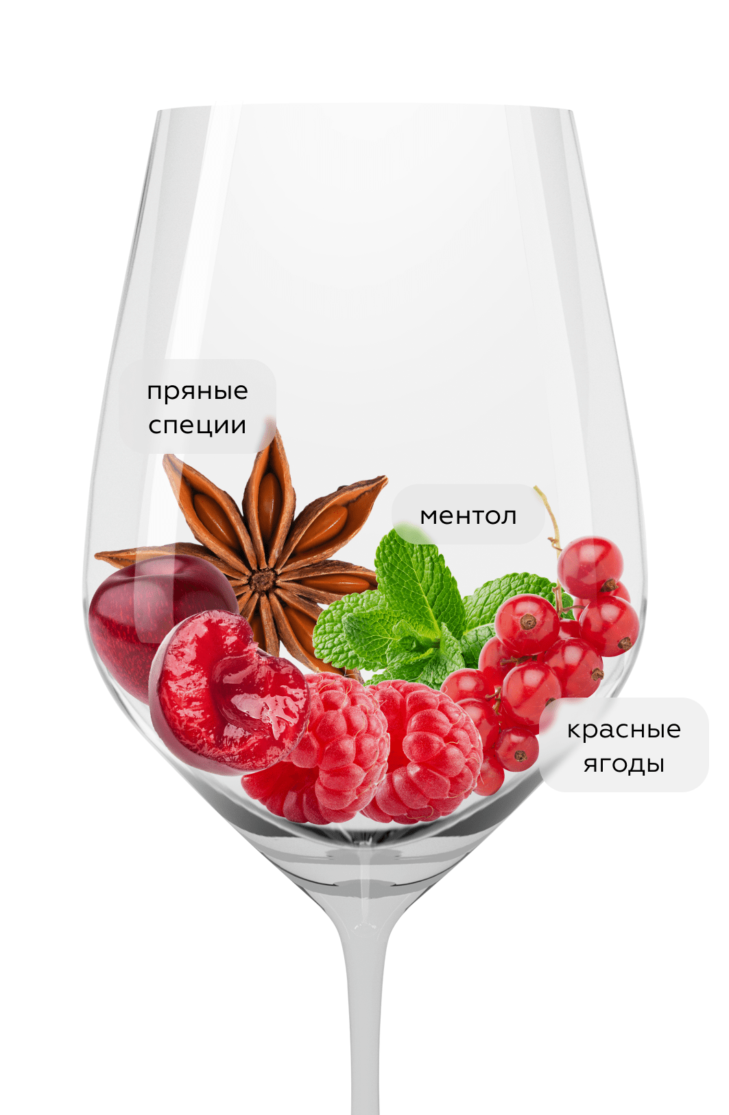 Вино Marcillac Lo Sang del Pais, Domaine du Cros, 2022, (145913), Франция, Юго-Запад, красное, сухое, 0.75 л, Марсийак Ло Санг дель Паис, цена 3490 рублей