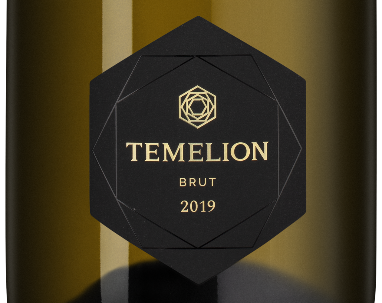 Игристое вино Темелион Винтаж, Лефкадия, 2019, 1.5л, (154902), Россия, Кубань, белое, брют, 1.5 л, Темелион Винтаж, цена 13990 рублей