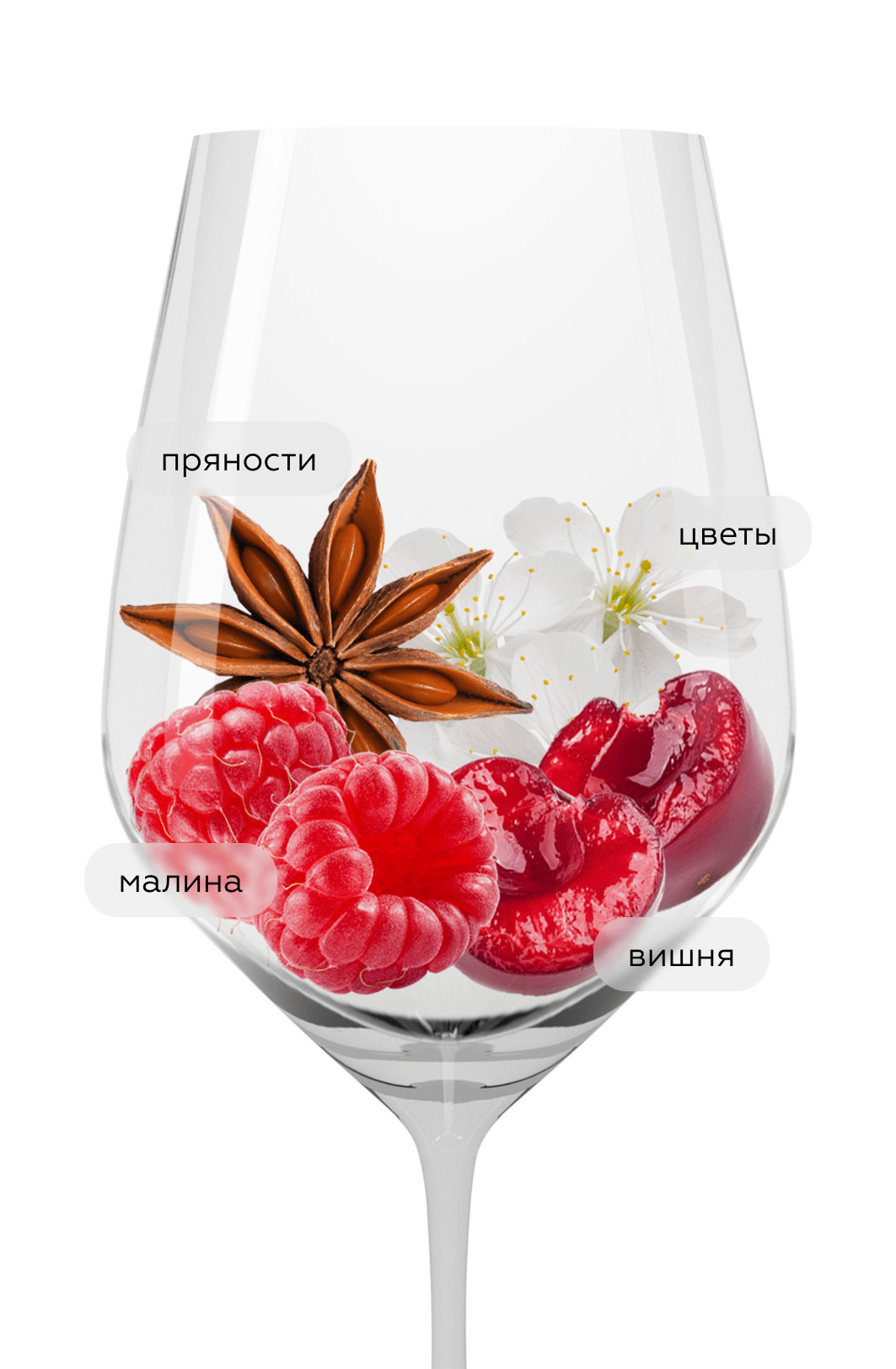 Вино Shiraz Mr Borio's, Simonsig, 2021, (147564), Южная Африка, Стелленбош, красное, сухое, 0.75 л, Шираз Мистер Борио, цена 3990 рублей