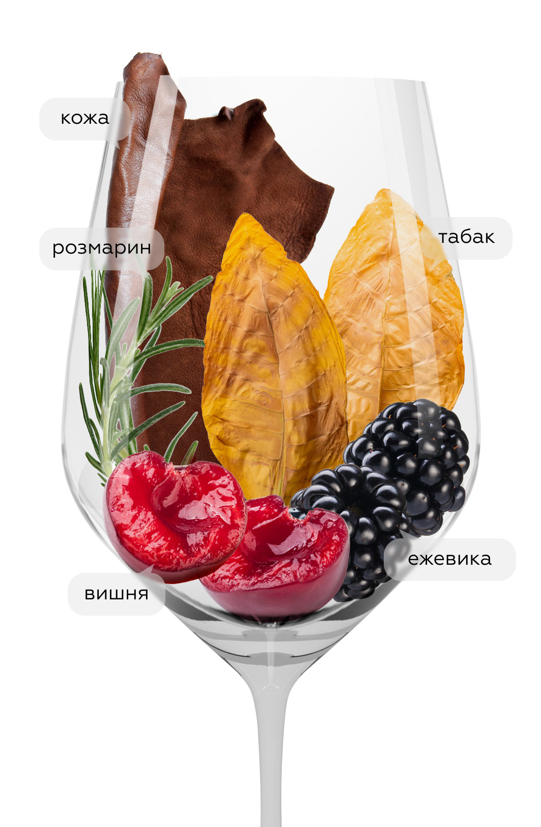 Вино Nipozzano Chianti Rufina Riserva, Frescobaldi, 2021, (147874), Италия, Тоскана, красное, сухое, 0.75 л, Нипоццано Кьянти Руфина Ризерва, цена 4990 рублей