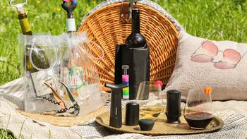 Какие аксессуары взять на пикник с вином