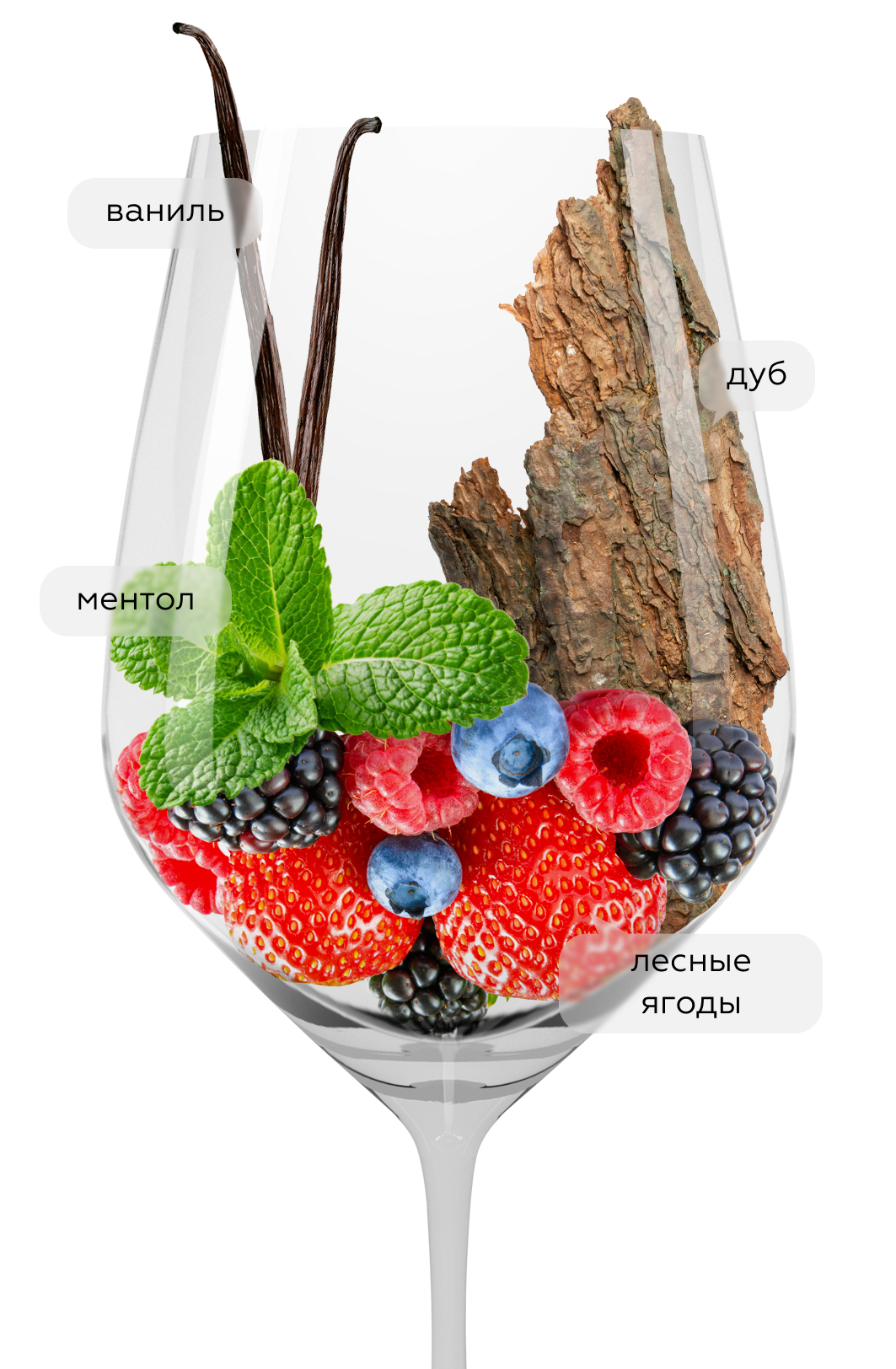 Вино Langhe Nebbiolo Perbacco, Vietti, 2023, (159783), Италия, Пьемонт, красное, сухое, 0.75 л, Ланге Неббиоло Пербакко, цена 8490 рублей