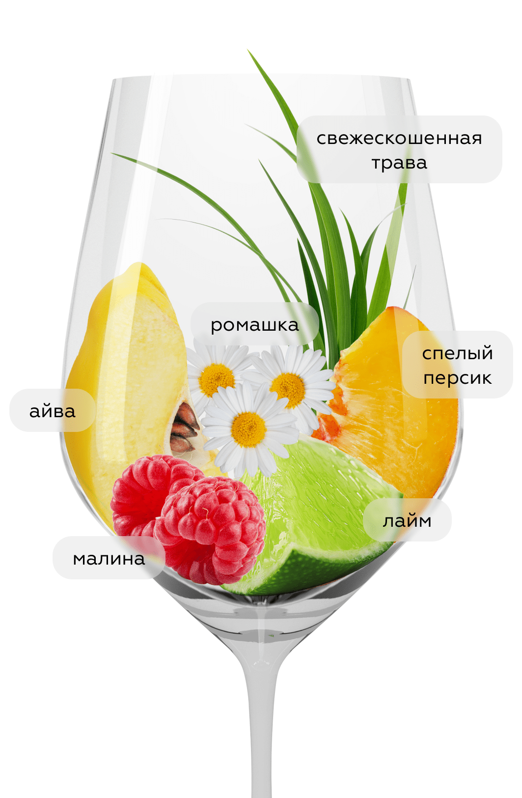 Вино Pinot Bianco, Cantina Terlan, 2024, (154370), Италия, Трентино-Альто Адидже, белое, сухое, 0.75 л, Пино Бьянко, цена 5490 рублей