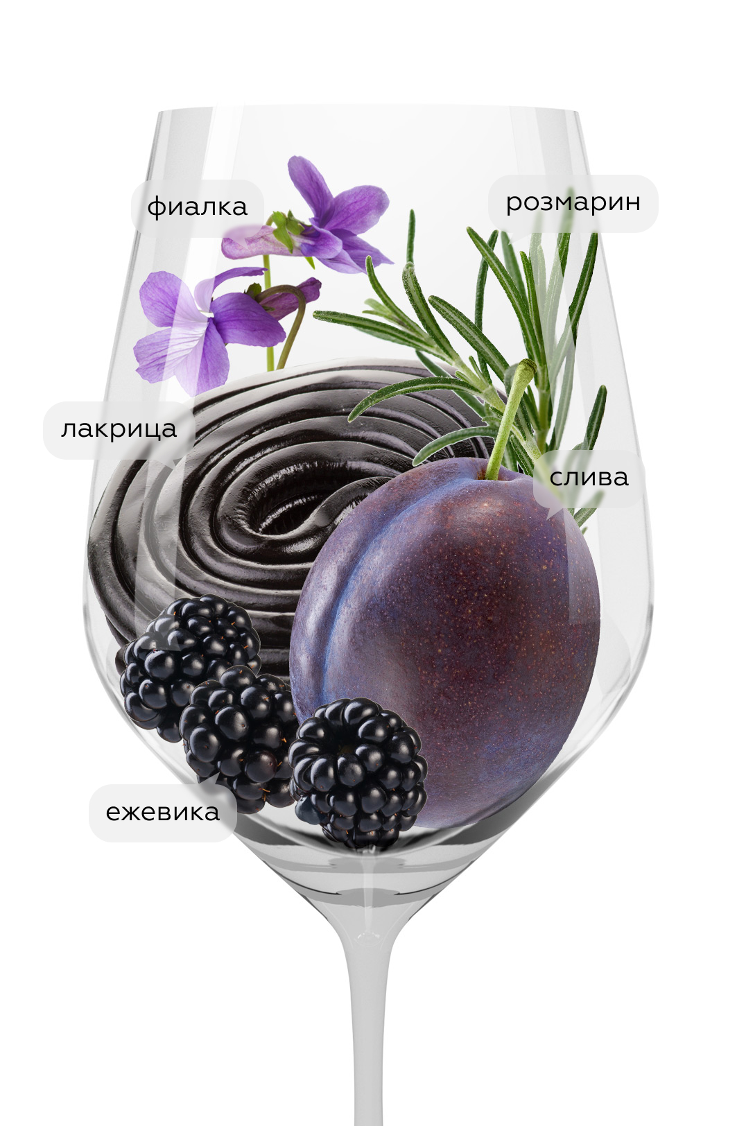 Вино Rosso di Montalcino, Banfi, 2023, (154217), Италия, Тоскана, красное, сухое, 0.75 л, Россо ди Монтальчино, цена 5990 рублей