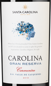 Красное вино региона Центральная Долина Gran Reserva Carmenere