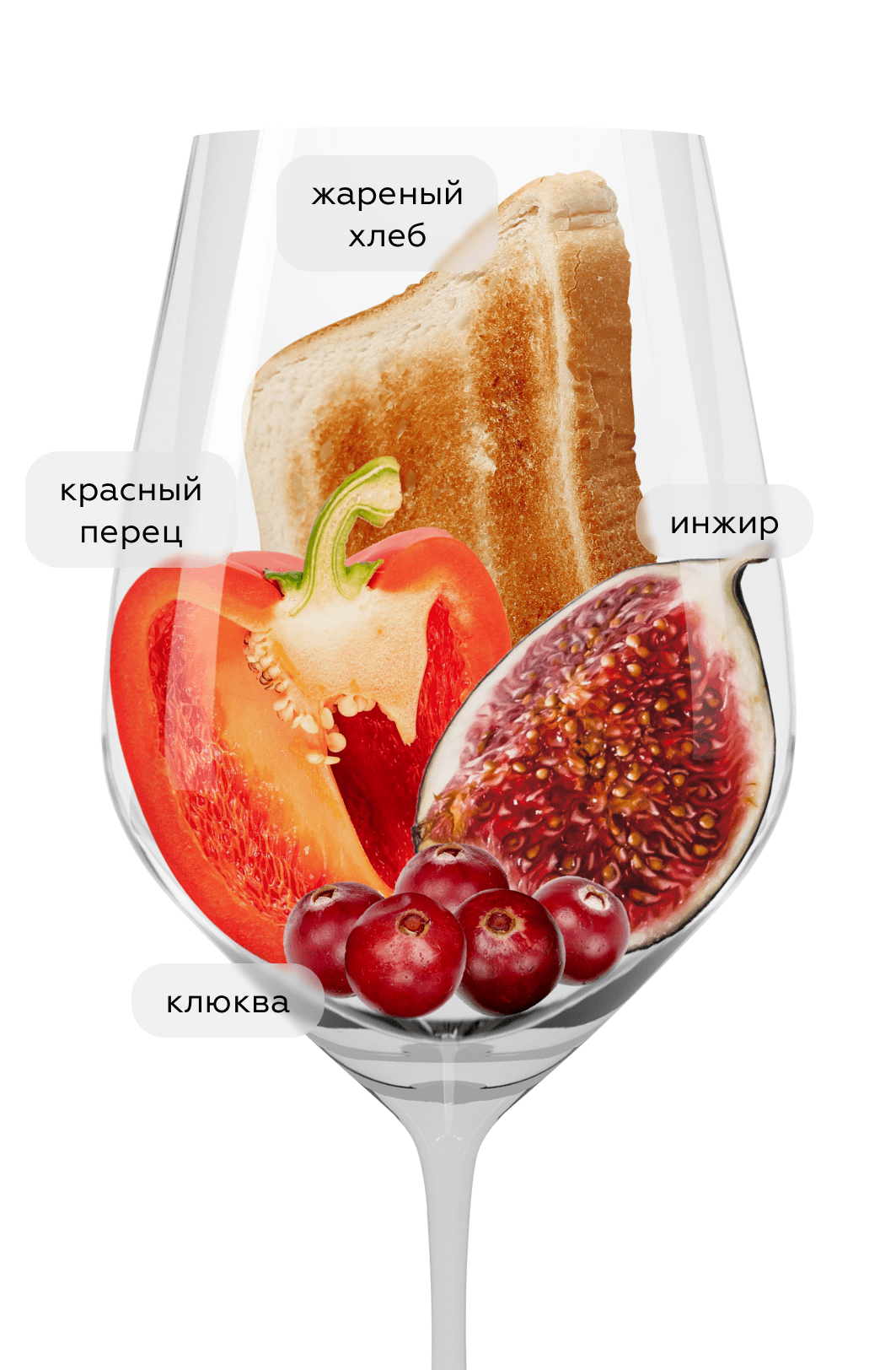 Вино Carmenere Estate Series, Errazuriz, 2023, (149336), Чили, Аконкагуа, красное, сухое, 0.75 л, Карменер Эстейт Сериез, цена 2490 рублей