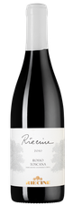 Вино Riecine, (137736), красное сухое, 2010 г., 0.75 л, Риечине цена 13990 рублей