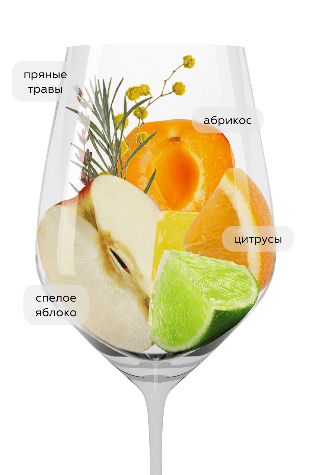 Вино Gruner Veltliner Senftenberger Piri, Nigl, 2024, (158065), Австрия, Нижняя Австрия, белое, полусухое, 0.75 л, Грюнер Вельтлинер Зенфтенбергер Пири, цена 6490 рублей