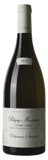 Вино Puligny-Montrachet Premier Cru Champ Canet, (111299),  цена 26210 рублей