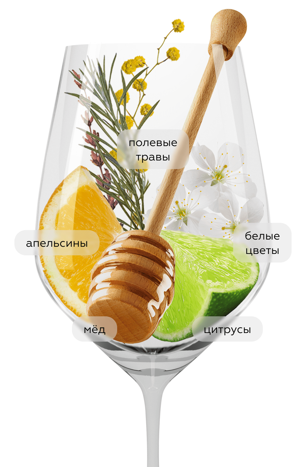 Вино Loco Cimbali Riesling, 2022, (144219), Россия, Крым, белое, сухое, 0.75 л, Локо Чимбали Рислинг, цена 1432 рублей