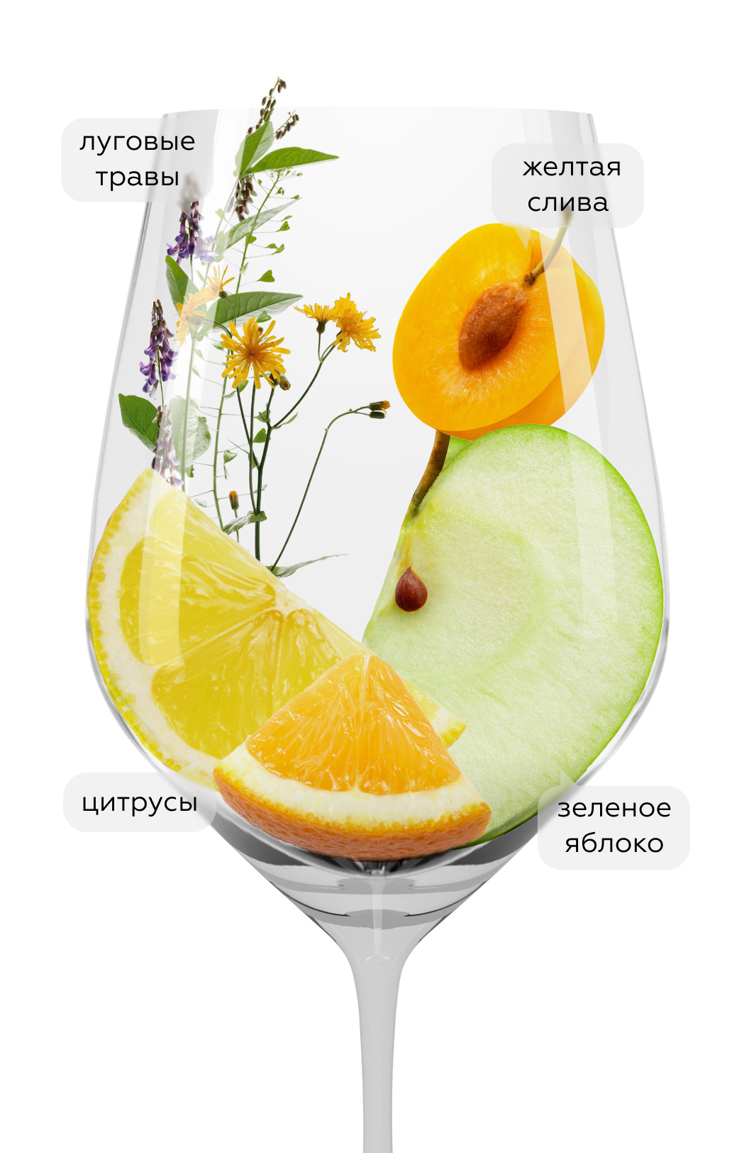 Вино Green Leaf Riesling Bio, Weinkellerei Hechtsheim, 2022, (144842), Германия, Рейнгессен, белое, полусухое, 0.75 л, Грин Лиф Рислинг Био, цена 1990 рублей