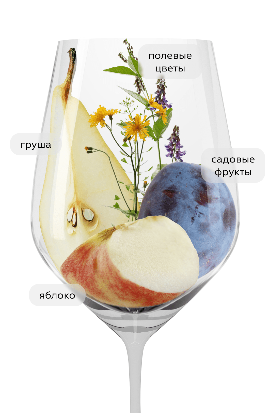 Игристое вино Балаклава Пино Нуар Брют Розе, Золотая Балка, 2025, (160654), Россия, Крым, розовое, брют, 0.75 л, Балаклава Пино Нуар Брют Розе, цена 832 рублей