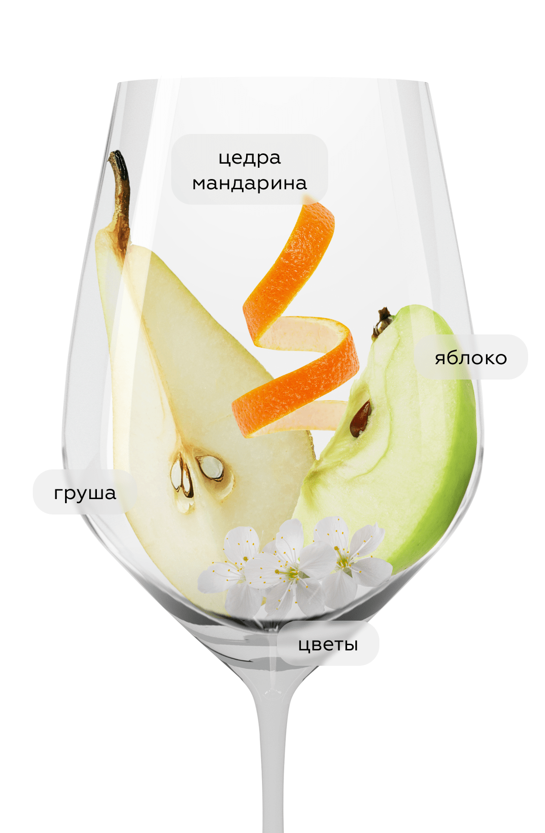 Вино Moscato Muzzi, Origin Wine Stellenbosch, 2025, (157276), Южная Африка, Стелленбош, белое, полусухое, 0.75 л, Муцци Москато, цена 1440 рублей