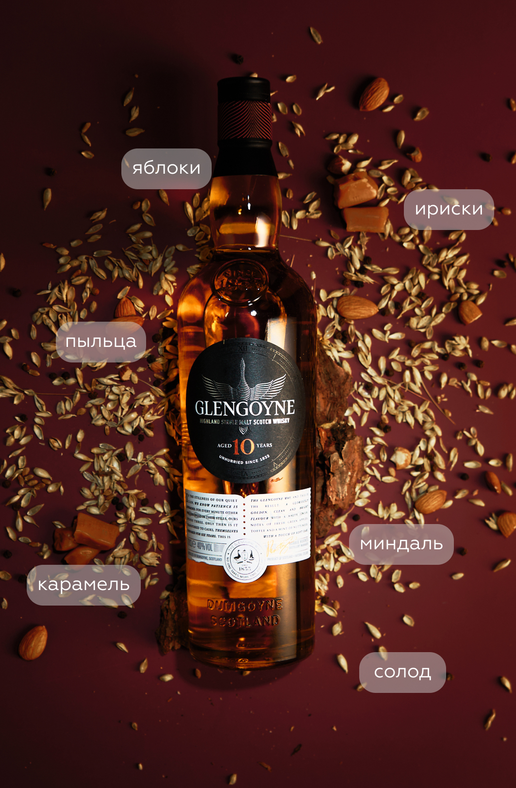 Виски Glengoyne Aged 10 Years в подарочной упаковке, (155344), Шотландия, Хайленд, 0.7 л, Гленгойн 10 лет, цена 8990 рублей