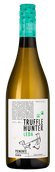 Piemont Truffle Hunter bianco