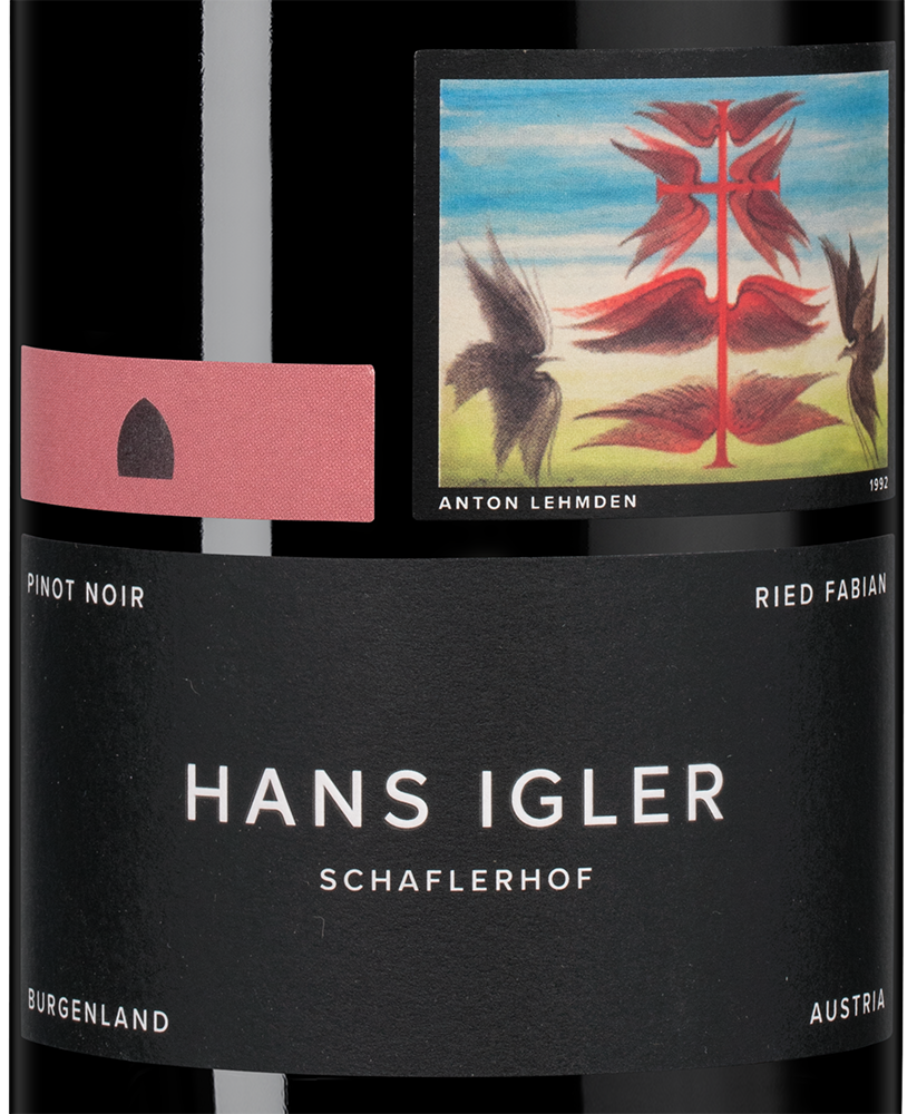 Вино Pinot Noir Ried Fabian, Hans Igler, 2019, (144069), Австрия, Бургенланд, красное, сухое, 0.75 л, Пино Нуар Рид Фабиан, цена 6990 рублей