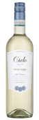Pinot Grigio