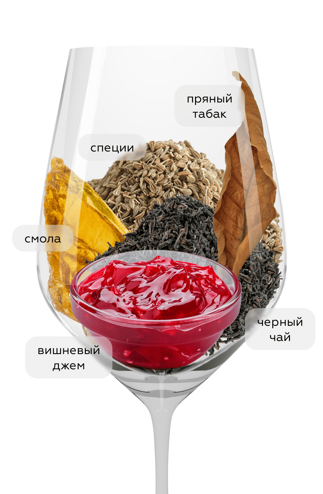 Вино Blauer Zweigelt, Anita & Hans Nittnaus, 2022, (156792), Австрия, Бургенланд, красное, сухое, 0.75 л, Блауэр Цвайгельт, цена 4190 рублей