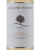 Полусухое вино Soave Classico