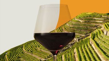 «Героическое виноделие»: где рискуют жизнью ради вина