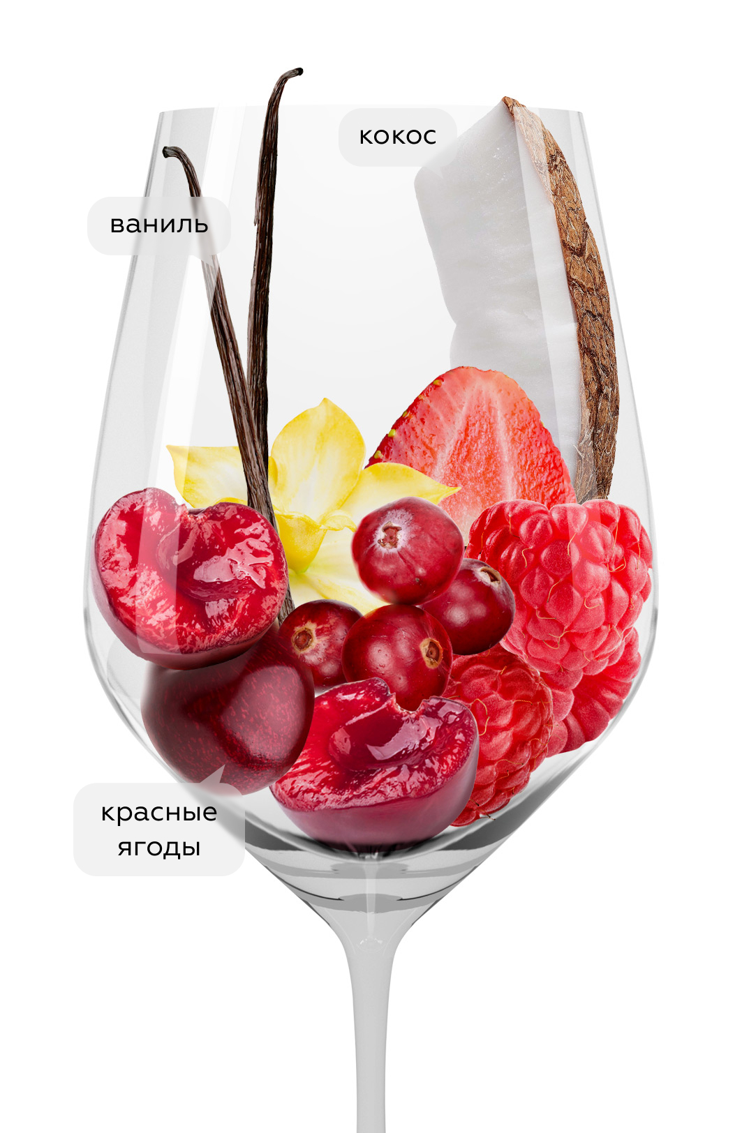 Вино Arienzo Crianza, Marques de Riscal, 2019, (149378), Испания, Риоха, красное, сухое, 0.75 л, Риоха Ариенсо Крианса, цена 2243 рублей