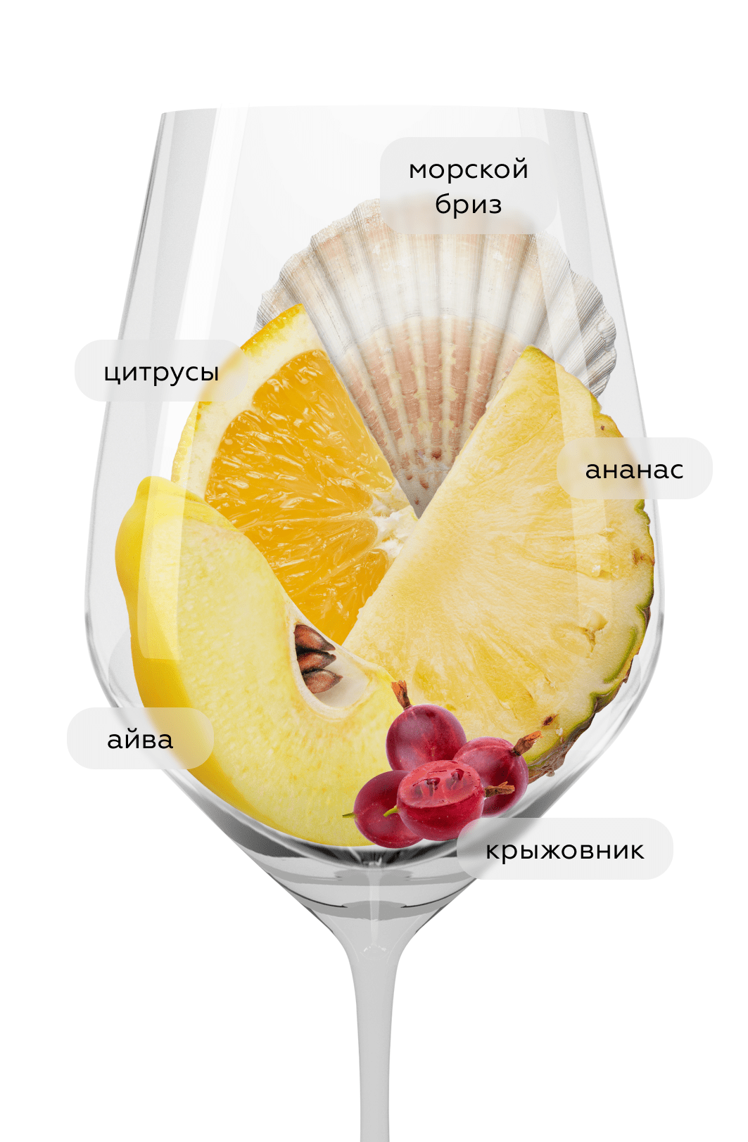 Вино Sauvignon Blanc, Vina Arboleda, 2020, (135919), Чили, Аконкагуа, белое, сухое, 0.75 л, Совиньон Блан, цена 4490 рублей