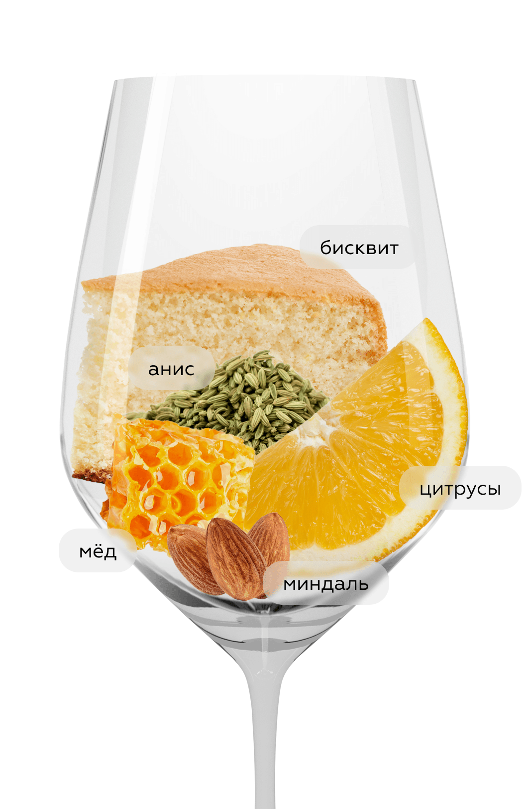 Шампанское Le Blanc de Blancs Brut в подарочной упаковке, Lanson, (156037), Франция, Шампань, белое, брют, 0.75 л, Ле Блан де Блан Брют, цена 16868 рублей