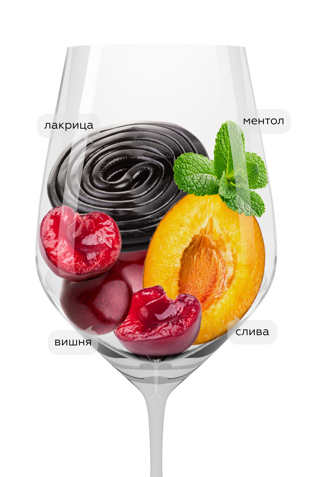 Вино Brunello di Montalcino Castelgiocondo Riserva, Frescobaldi, 2019, (155276), Италия, Тоскана, красное, сухое, 0.75 л, Брунелло ди Монтальчино Кастельджокондо Ризерва, цена 31490 рублей