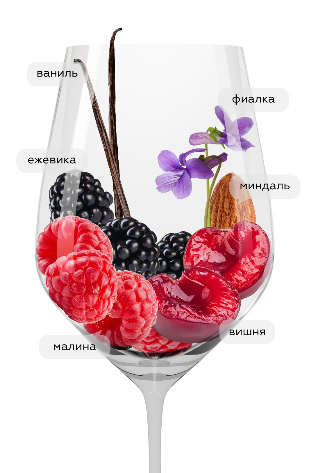 Вино Chianti Riserva, Melini, 2022, (160370), Италия, Тоскана, красное, сухое, 0.75 л, Кьянти Ризерва, цена 1592 рублей