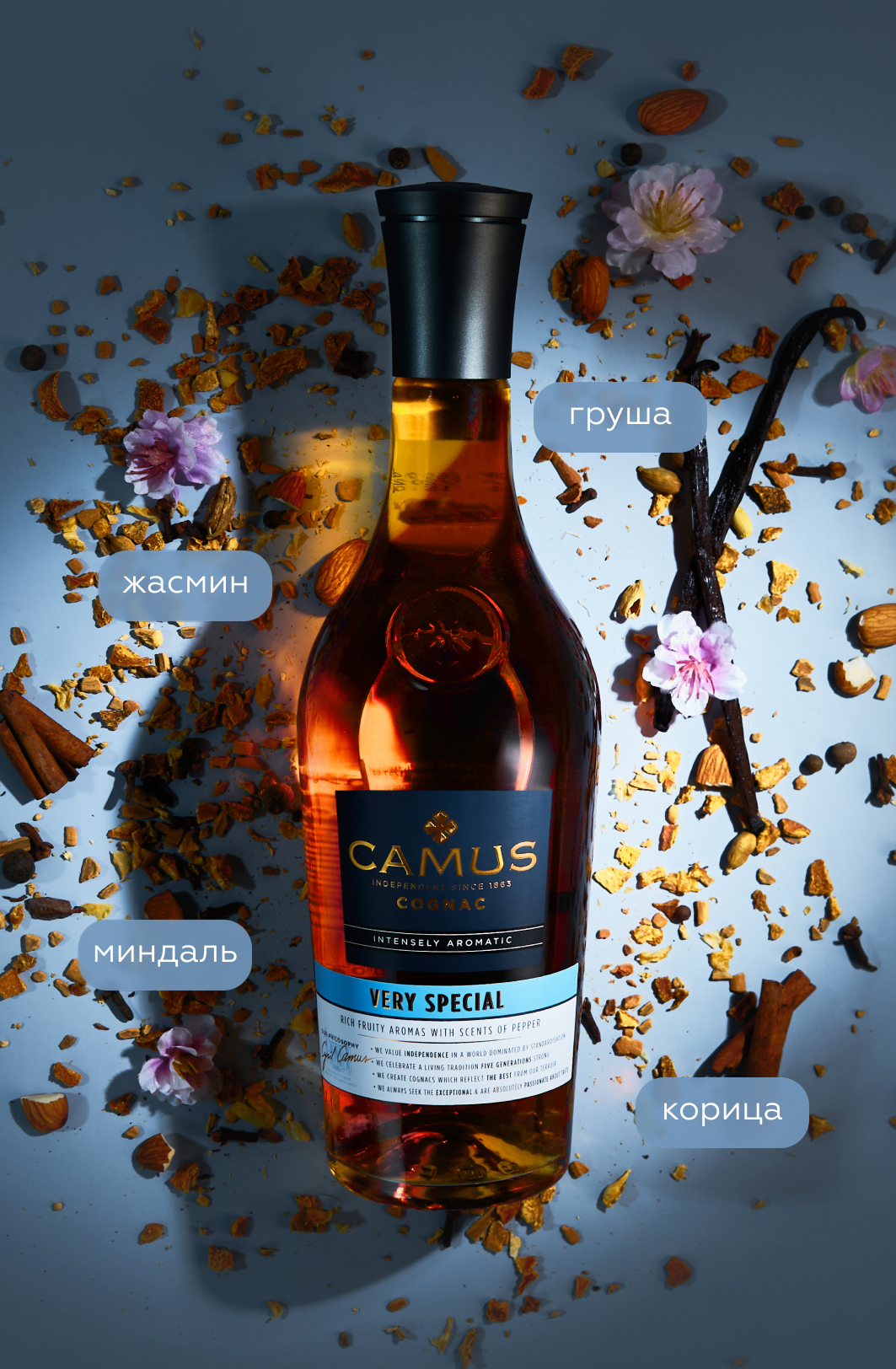 Коньяк Camus VS Intensely Aromatic, (154934), Франция, Коньяк, 0.7 л, Камю VS, цена 4090 рублей