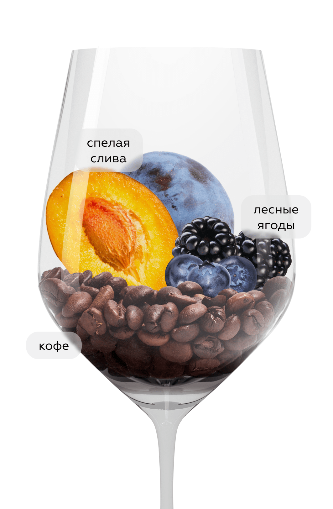 Вино Chianti, Conti Serristori, 2024, (154783), Италия, Тоскана, красное, сухое, 0.75 л, Кьянти, цена 1890 рублей