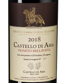 Вино с вкусом черных спелых ягод Chianti Classico Gran Selezione Vigneto Bellavista