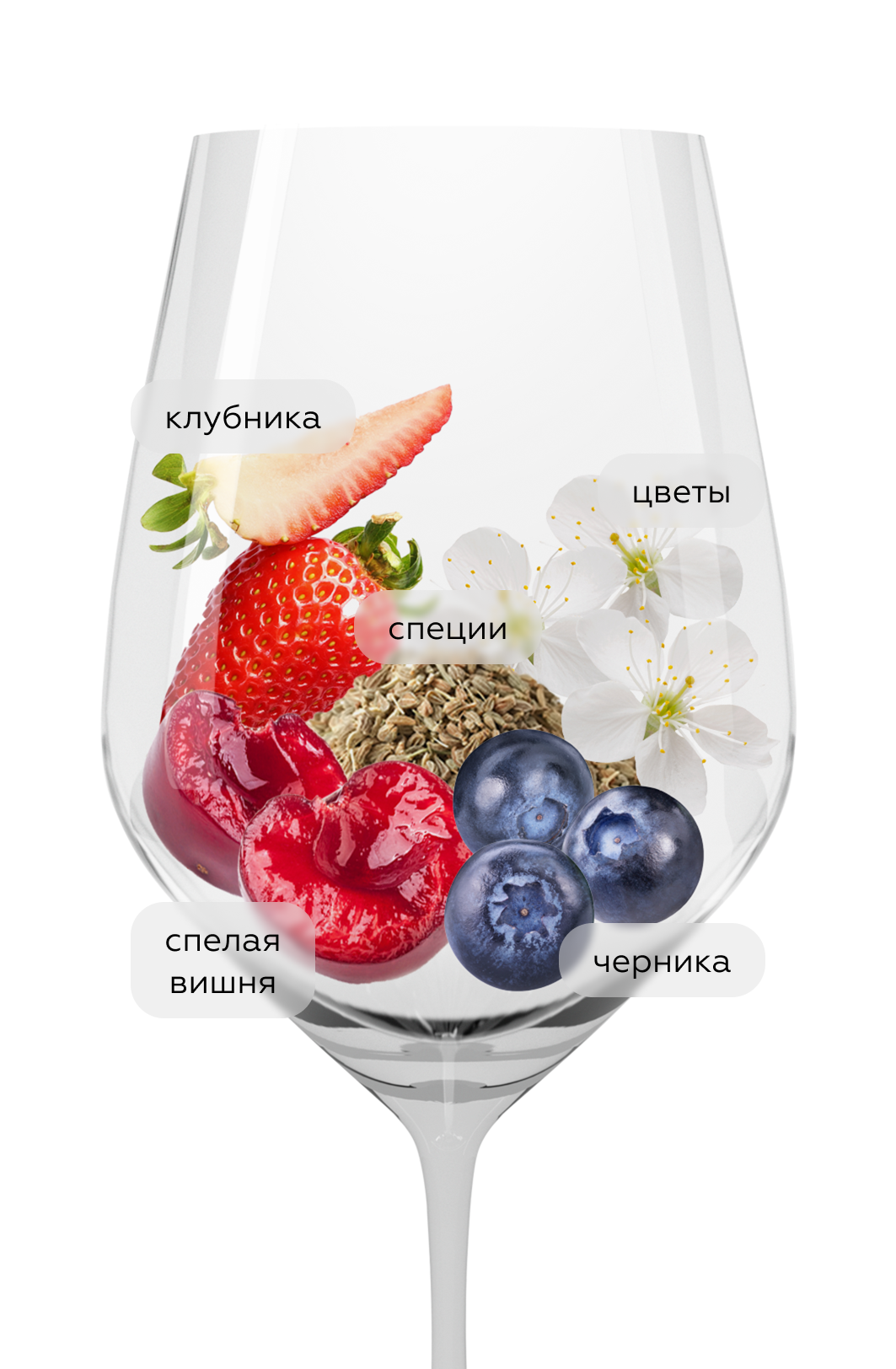 Вино Losung Zweigelt, Vereinigte Winzer Neusiedler, 2022, (153711), Австрия, Бургенланд, красное, полусухое, 0.75 л, Лёсунг Цвайгельт, цена 1743 рублей