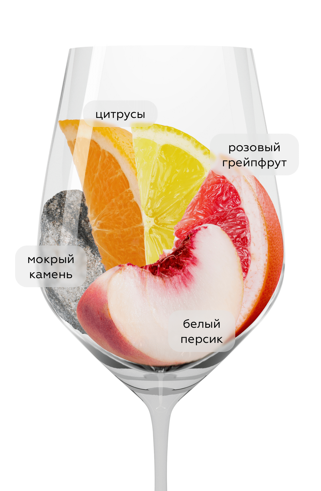 Вино Sauvignon Saint-Bris, Jean-Marc Brocard (Domaine Sainte-Claire), (158335), Франция, Бургундия, белое, сухое, 0.75 л, Совиньон Сен-Бри, цена 3990 рублей