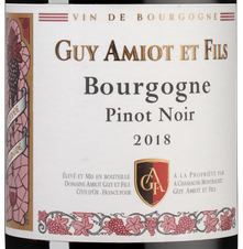 Вино Bourgogne Pinot Noir, (125161), красное сухое, 2018 г., 0.75 л, Бургонь Пино Нуар цена 5920 рублей