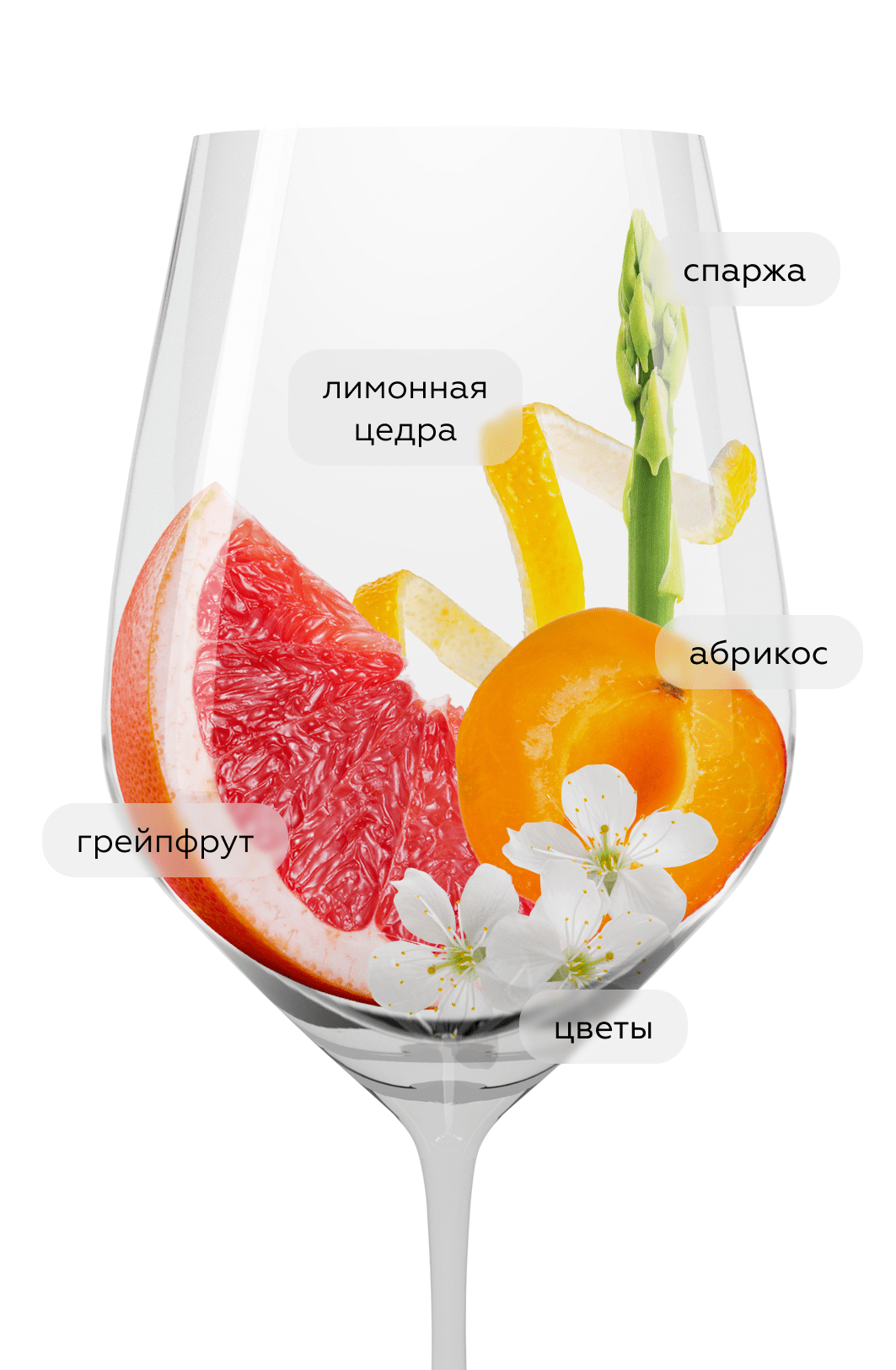 Вино Aligote, Усадьба Маркотх, 2019, (122703), Россия, Кубань, белое, сухое, 0.75 л, Алиготе, цена 2890 рублей