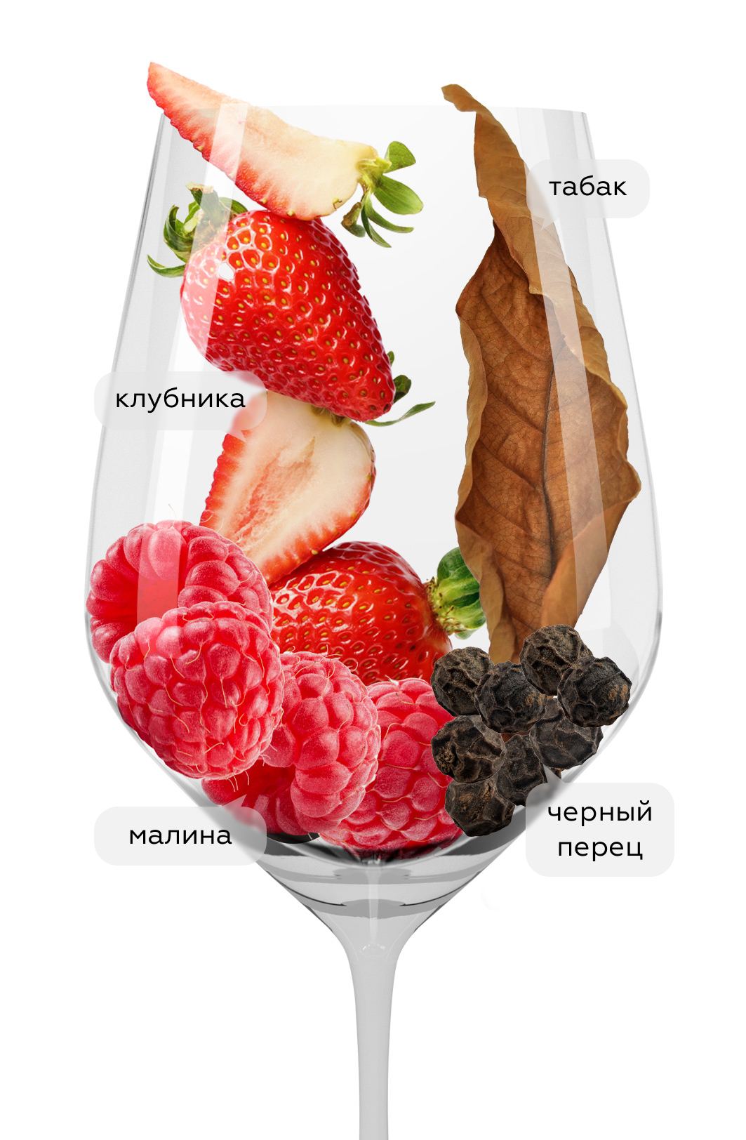 Вино Carolina Reserva Pinot Noir, Santa Carolina, 2023, (153279), Чили, Центральная Долина, красное, сухое, 0.75 л, Каролина Ресерва Пино Нуар, цена 1192 рублей