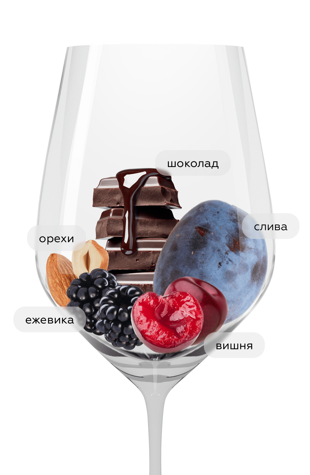 Вино Amarone della Valpolicella Valpantena, Bertani, 2019, (140214), Италия, Венето, красное, полусухое, 0.75 л, Амароне делла Вальполичелла Вальпантена, цена 9793 рублей