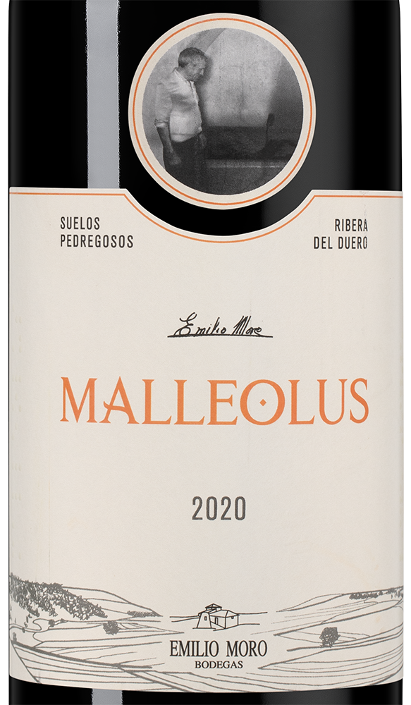Вино Malleolus, Emilio Moro, 2020, (140619), Испания, Кастилия и Леон, красное, сухое, 0.75 л, Рибера дель Дуэро Мальеолус, цена 11990 рублей