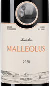 Сухое испанское вино Malleolus