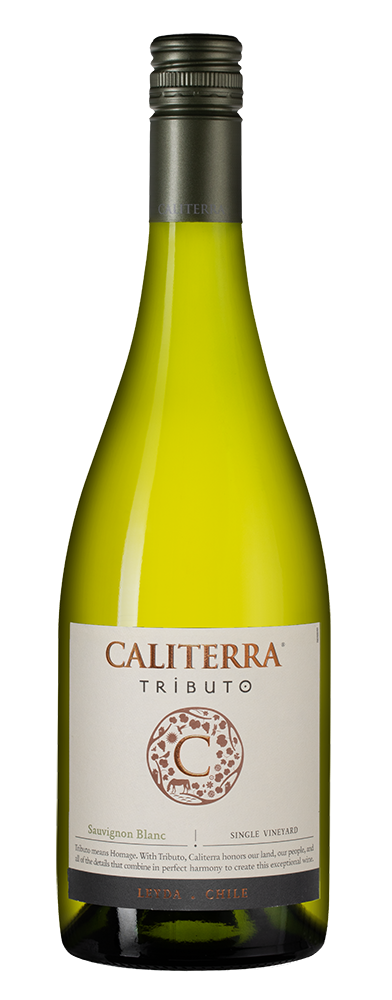 Вино Sauvignon Blanc Tributo, Caliterra, 2020, (126453), Чили, Центральная Долина, белое, сухое, 0.75 л, Совиньон Блан Трибуто, цена 2490 рублей