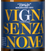 Итальянское белое игристое вино Vigna Senza Nome