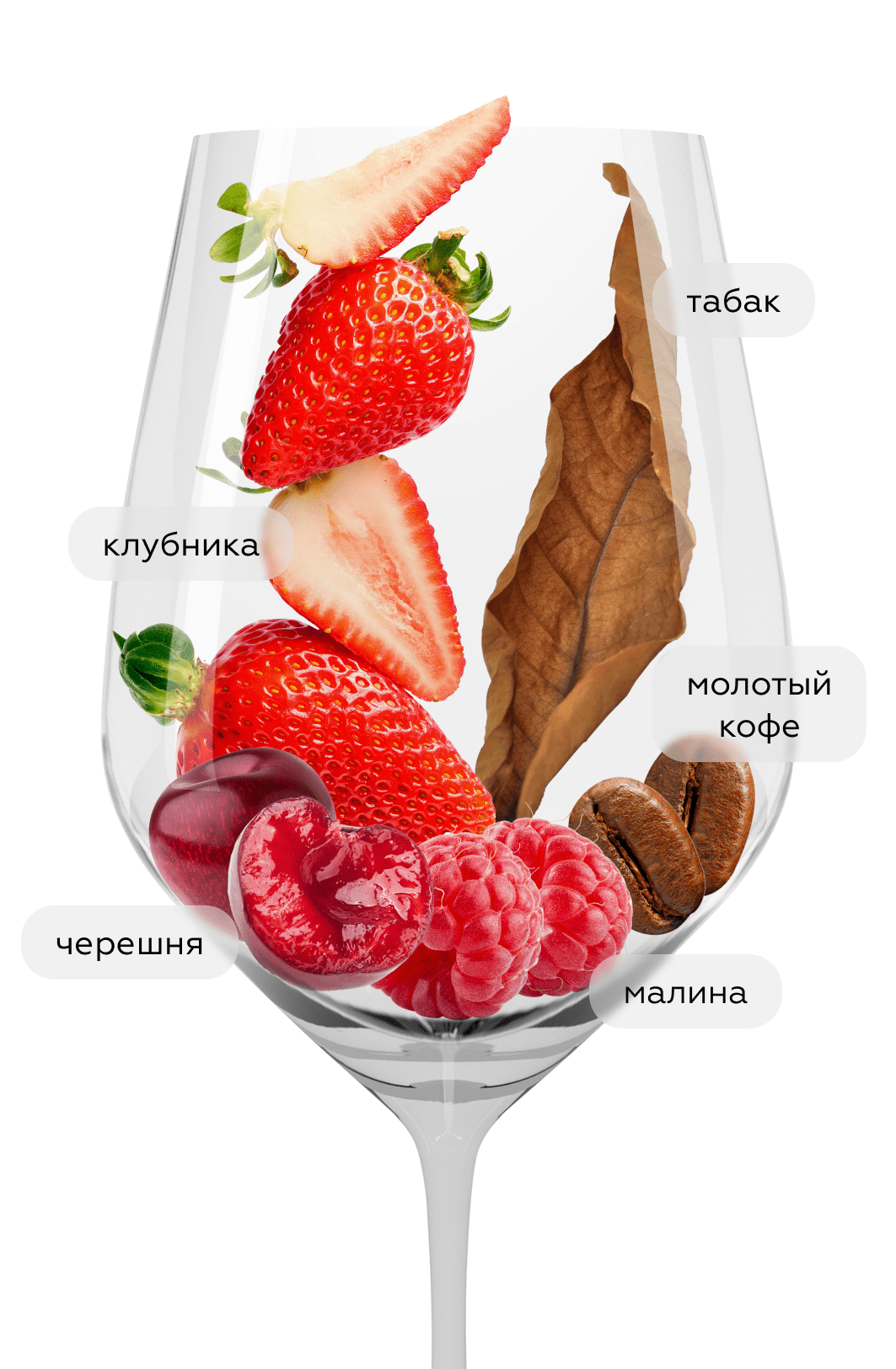 Вино Spatburgunder Blauer, Knipser, 2019, (149040), Германия, Пфальц, красное, сухое, 0.75 л, Шпетбургундер Блауэр, цена 4493 рублей