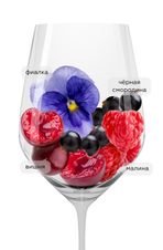 Вино Noa Areni Red, (124144), красное сухое, 2017 г., 0.75 л, Ноа Арени Красное цена 3490 рублей