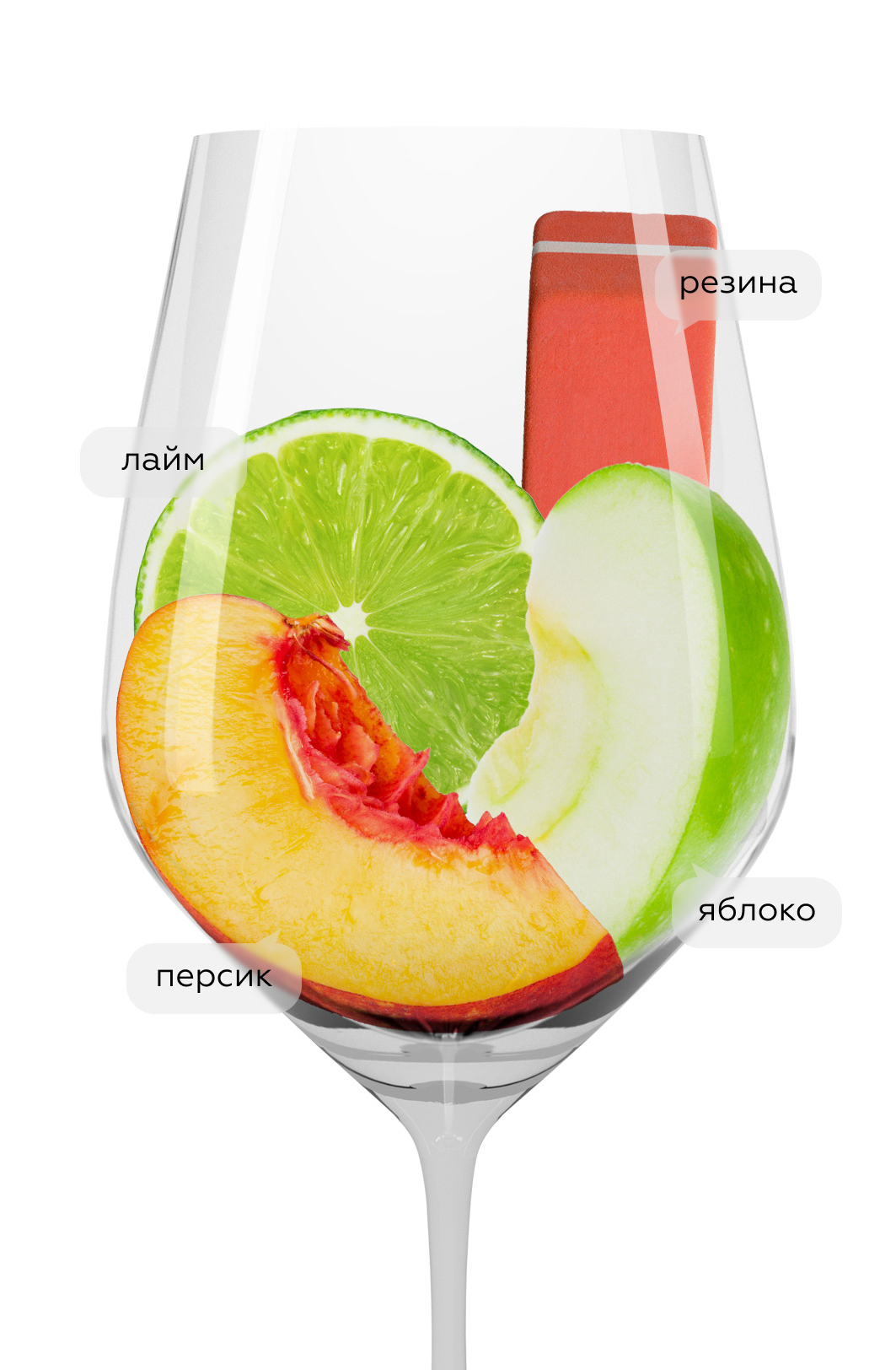 Вино Riesling, Trimbach, 2020, 0.375л, (131202), Франция, Эльзас, белое, сухое, 0.375 л, Рислинг, цена 3990 рублей