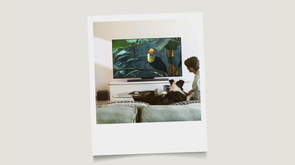 Samsung x SimpleWine: сценарий домашнего киновечера