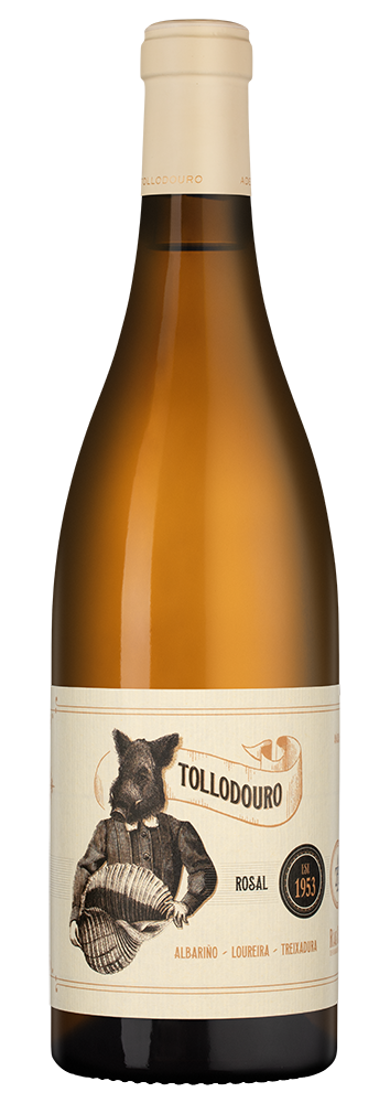 Вино Tollodouro, Bodegas Horacio Gomez Araujo, 2022, (143096), Испания, Галисия, белое, сухое, 0.75 л, Тольодоуро, цена 4490 рублей