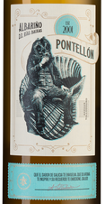 Вино Pontellon Albarino, (123937), белое сухое, 2019 г., 0.75 л, Понтейон Альбариньо цена 2990 рублей