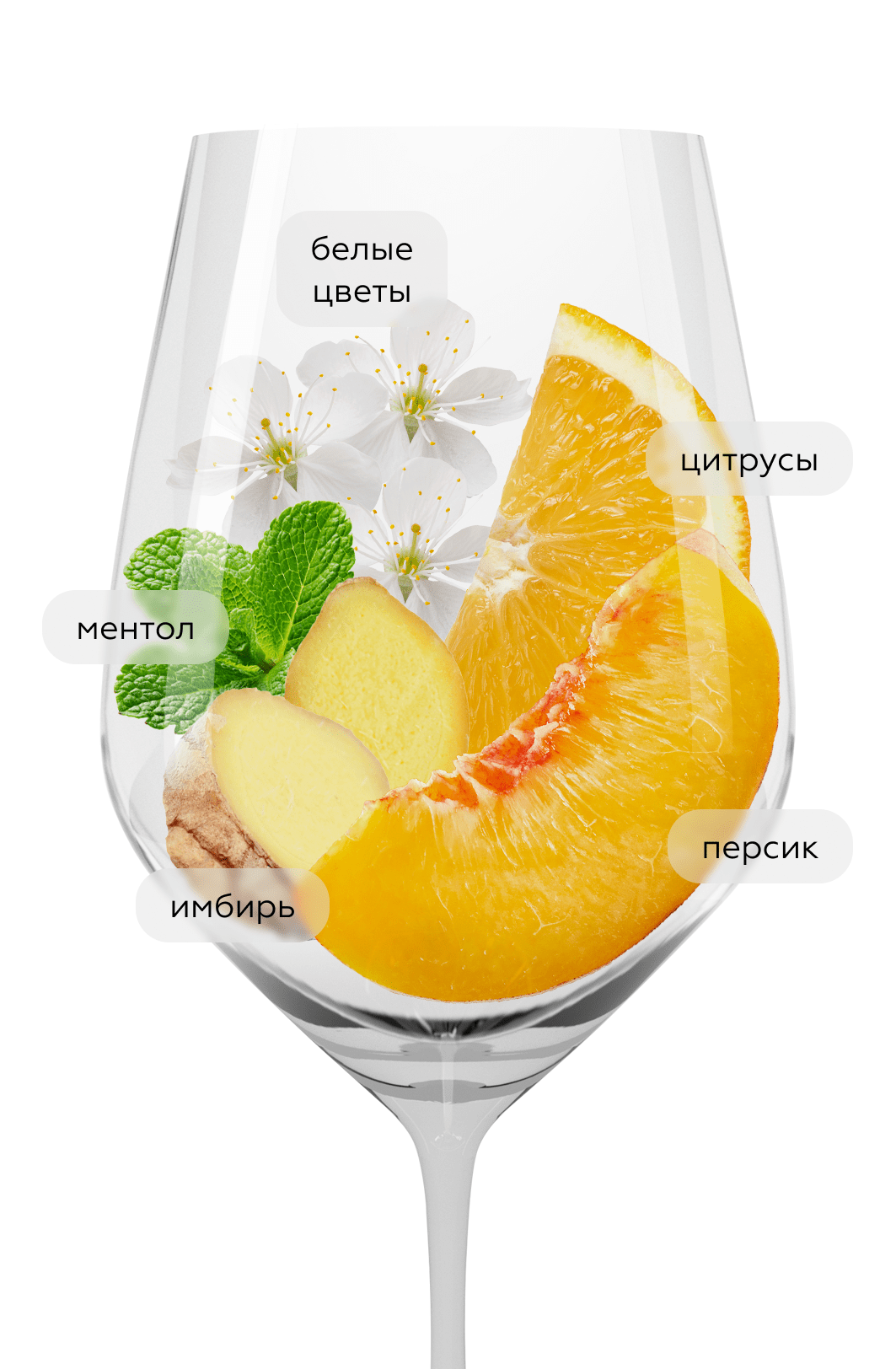 Вино Chablis Vieilles Vignes, Jean-Marc Brocard (Domaine Sainte-Claire), 2022, (143426), Франция, Бургундия, белое, сухое, 0.75 л, Шабли Вьей Винь, цена 7490 рублей