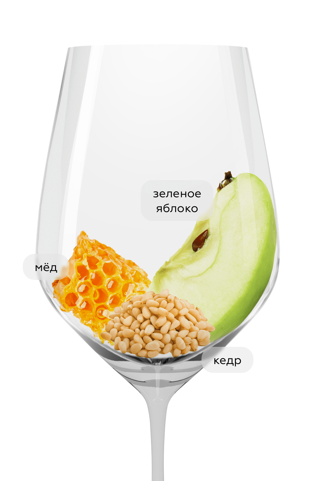 Вино Piemont Truffle Hunter bianco, 2024, (154003), Италия, Пьемонт, белое, полусухое, 0.75 л, Пьемонт Бьянко, цена 2190 рублей